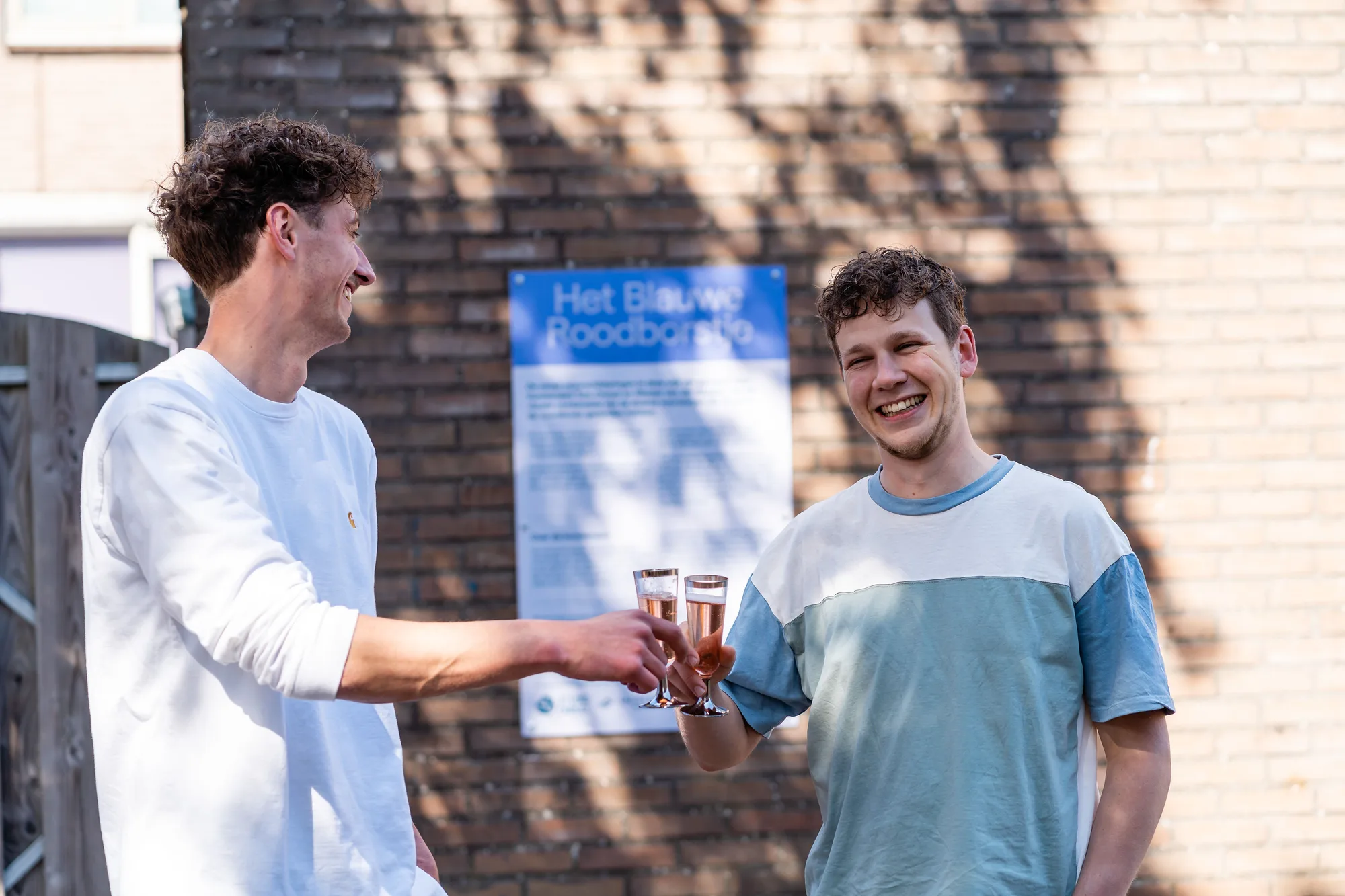 Het Blauwe Roodborstje — beeld 3